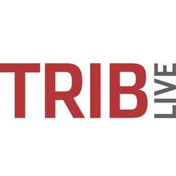 Website Programmer (WordPress Full Stack Developer)