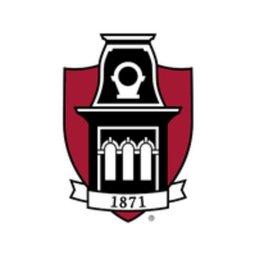 Associate Business Systems Developer