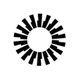 Technical Consultant