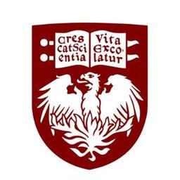 Senior Identity & Access Management (IAM) Developer