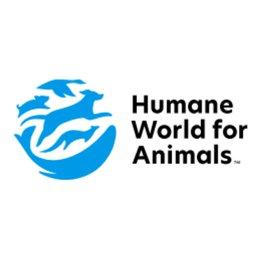 Web Developer, eCRM
