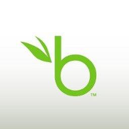 Principal Software Architect