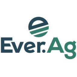 Digital Marketing Web Specialist