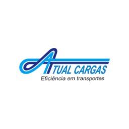 Junior Systems Analyst