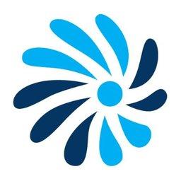 Chief Solutions Architect