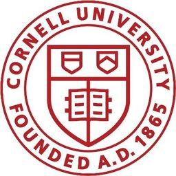eCornell Senior Salesforce Developer (Remote)