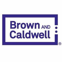 Senior Analyst