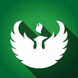 Web Designer (71.75%)